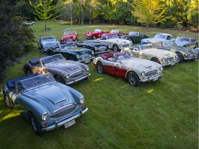 Austin Healeys are regulars at classic car shows around the world.