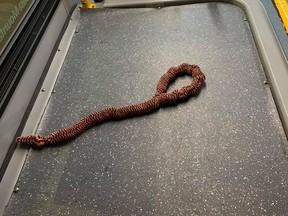 An investigation has been launched after a TransLink passenger allegedly told a driver to hang himself with a noose-like object found on board a bus.