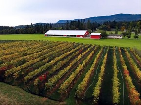 Unsworth Vineyards on Vancouver Island.