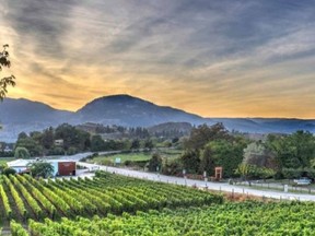 Township 7 Vineyards and Winery is reopening for tasting visits at their Langley and Naramata properties.