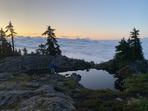 The views can be magnificent on a North Shore mountains hike. 'Some of my best childhood memories are hikes on the North Shore and I wanted to share that with others,' says Harry Crerar, author of Family Walks and Hikes on Greater Vancouver's North Shore.