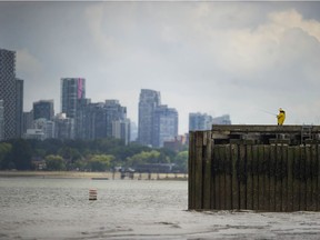 Vancouver, BC: JUNE 06, 2020 -- People enjoying the weather at Jericho Beach, on and off-shore, in Vancouver, BC Saturday, June 6, 2020.