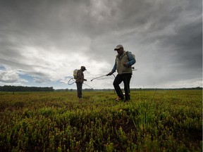 The British Columbia government says it is moving to protect residents and seasonal workers from COVID-19 while ensuring the temporary labourers have a safe place to stay as they work in orchards and fields this summer.