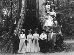 A group portrait at the Hollow Tree, taken between 1905 and 1907.