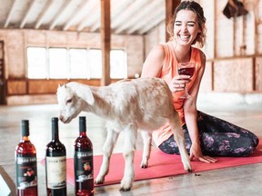 From you-pick berries to goat yoga and wine-tasting, Mann Farms in Abbotsford has something for everyone.