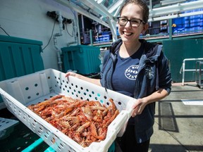 Michelle Worobel holds a bin of live spot prawns at Finest at Sea.
