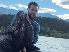 A Canadian man has become an American hero after rescuing a juvenile bald eagle from a B.C. lake on the 4th of July.