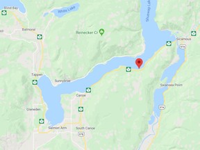 RCMP officers from both Sicamous and Salmon Arm responded to the scene near Bernie Road.