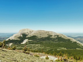 A Canadian Rocky Mountains peak, pictured in 2006, shows how trees are becoming more prevalent, compared to nearly a century earlier in a photograph taken from the same spot.