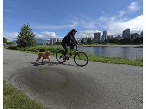 It's a lovely weekend to be outside in Metro Vancouver. Saturday and Sunday are expected to be sunny.