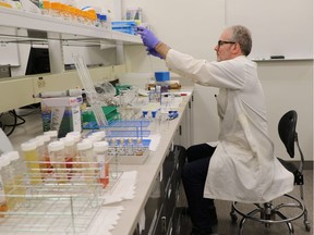 Researcher Jamie Finlay tests samples of kombucha. BCIT's Natural Health and Food Products Research Group and the B.C. Centre for Disease Control have tested more than 700 samples of the popular beverage from around the province for alcohol levels.