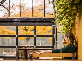 The solarium at Empire Coffee in Nelson