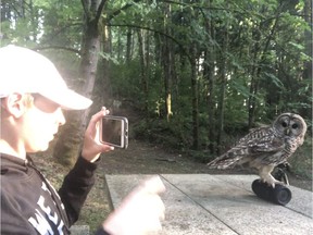 Tyson Hockley with a ticked-off barred owl.