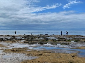 Tide pool exploring at Botanical Beach.