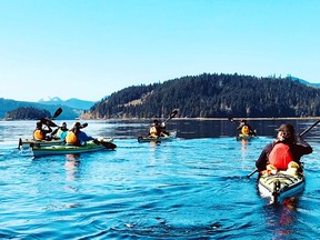 Kayakers inUcluelet Harbour with Hello Nature Adventures.
