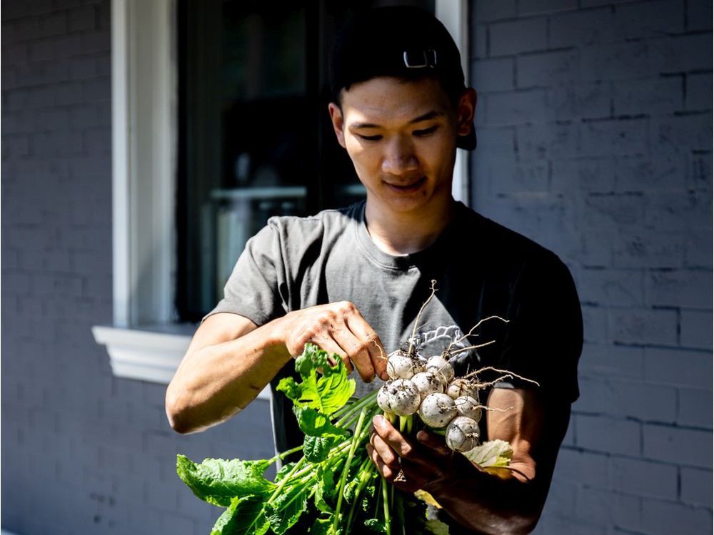 Meet the chef Darren Gee is more than a dumpling chef Vancouver Sun