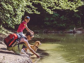 In the 40 years since the first Rivers Day, a trickle of activity has grown into a deluge of community events every fourth Sunday of September.