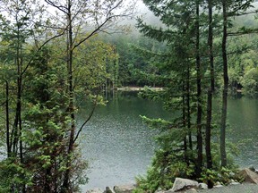 Squamish RCMP say a man in his 20s is dead after drowning in Browning Lake on Monday evening.