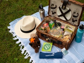 The Vancouver Aquarium’s Picnic in the Park program will be participating in Dine OutSide. The summer version of the Dine Out Vancouver Festival runs Aug. 21-Sept. 21.