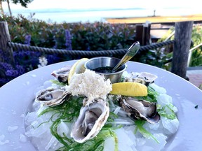 The Comox Valley is one of the best places anywhere for shellfish like these freshly shucked oysters at the Kingfisher Oceanfront Resort's AQUA Bistro and Wine Bar.