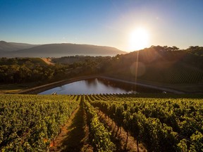 Australia's Jackson Family Wines, the family-owned wine company founded in 1982, has purchase Giant Steps Winery, located in Victoria's Yarra Valley.