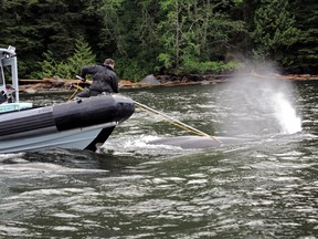 Federal fisheries officials try to remove fishing gear from a humpback whale off the B.C. coast in 2012.