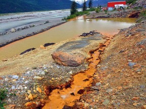 Photo of the ex-filtration pond at the Tulsequah Chief mine. For a report by the B.C. inspector of mines. Photo: Government of B.C.