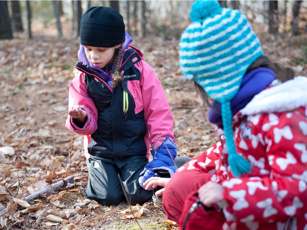 COVID-19: Teach More Classes Outside During Pandemic, Say Some ...