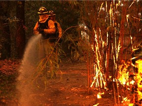 Cal Fire firefighters put out hot spots as the Glass Fire moves through the area on September 27, 2020 in St. Helena, California.