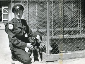 The B.C. SPCA was created in 1895 as part of provincial legislation that was drafted to protect animals.