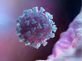 A computer image created by Nexu Science Communication together with Trinity College in Dublin, shows a model structurally representative of a betacoronavirus which is the type of virus linked to COVID-19, better known as the coronavirus linked to the Wuhan outbreak, shared with Reuters on February 18, 2020. NEXU Science Communication/via REUTERS THIS IMAGE HAS BEEN SUPPLIED BY A THIRD PARTY. MANDATORY CREDIT./File Photo