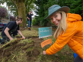 Neighbours Melissa Haynes, right, Jake Shirley and Sara McGillvray work on some Crown land in Vancouver on Sept. 27. Neighbours who've never met despite living just two doors apart for decades are now coming together to build a 'highway for endangered native pollinators' as part of the David Suzuki Foundation's butterflyway project.