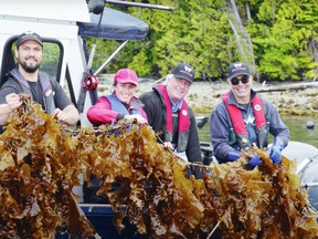Ryan Cootes, Erin Bremner-Mitchell, Cascadia chair Bill Collins and company chief executive Mike Williamson with a harvest of sugar kelp.