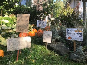 The signs that are so much a part of this pumpkin patch story. Photo credit: The Van Arragon Dengerink Family.