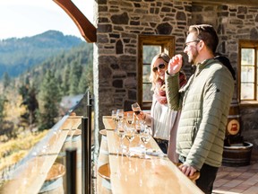 Autumn is an exciting time to explore any of the hundreds of wineries that make up B.C.'s nine different wine regions.