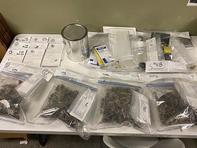 Surrey RCMP seized two bags of suspected marijuana and about 451 grams of psilocybin – known as magic mushrooms – following a traffic stop in Guildford on Sunday in which the driver was spotted speeding up to 108 kilometres an hour, in a 60-kilometres zone.
