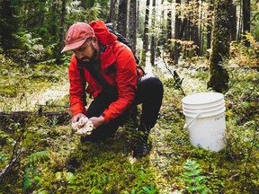 Phil Scarfone, a Vancouver-based chef known for his work at Savio Volpe and his time on the seventh season of Top Chef Canada, enjoys foraging for mushrooms.