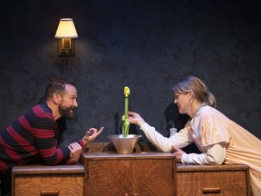 Amy Rutherford and Shawn Macdonald star in The Amaryllis, which runs until Nov. 22 at the Firehall Arts Centre.