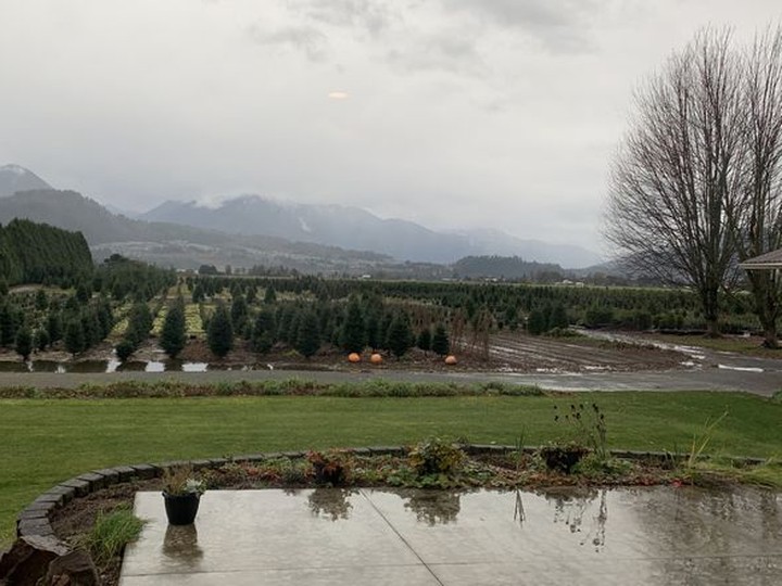  Art Loewen, a hobby Christmas tree farmer, built all the buildings at Pine Meadows Tree Farms, including designing the house such that he and his wife Lois “can see the lights of the promontory, the mountains, the moon crossing the sky,” out the back bedroom window.