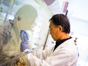 Handout photo of a scientist working in a lab at Vancouver-based Acuitas Therapeutics. Pfizer-BioNTech announced last week that the vaccine developed with Acuitas is 90 per cent effective against COVID-19 in human trials.