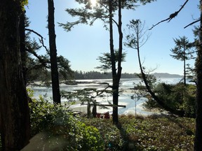 The sun shines through the early morning mist on Tofino’s Chesterman Beach, viewed from a guest room at the Wickaninnish Inn.