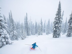 Locals could get all the powder at the start of the 2020/2021 ski season as the public health officer prepares to ban intra-provincial travel.