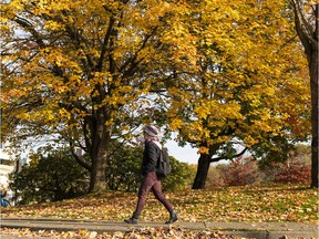 Get out and enjoy today's sunshine while it lasts. Rain is forecast for the rest of the week.