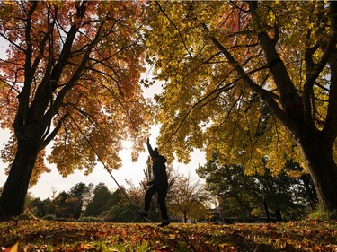 Charmagne Edwards practices on a slackline under a colourful tree canopy in Vancouver, B.C. Oct. 25, 2020.