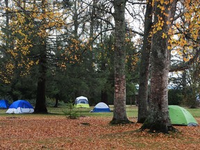 Some of the tents erected Nov. 10 at Peace Arch Park as residents living along 0 Avenue in South Surrey are sounding the alarm after more than 85 tents were set up in the park Nov. 8, the day after strict new provincial health orders were put in place to prohibit people from gathering outdoors.