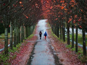 Two people walk through Mountain View Cemetery in Vancouver, B.C., November 16, 2020. The weather is ugly and is supposed to get uglier overnight. Rain and winds of up to 90 km/hr expected tomorrow morning.