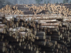 Softwood lumber stacked in Heffley Creek, B.C., Sunday, April, 1, 2018.