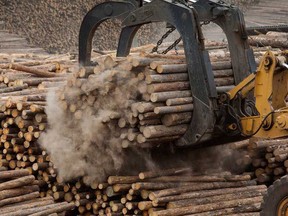 West Fraser Timber Co Ltd's proposed acquisition of Norbord Inc., the world’s largest producer of oriented-strand board, will create a new forestry giant in Canada at a time of surging prices.