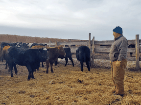 Brian Allison farms 1,800 acres near Delburne, east of Red Deer, Alberta.