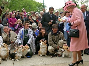 A group of Corgis and their owners from the Canadian Kennel Society are a delight to Queen Elizabeth II — her favourite breed of dogs — during her walkabout at the Alberta legislature in Edmonton during a May 2005 royal tour.